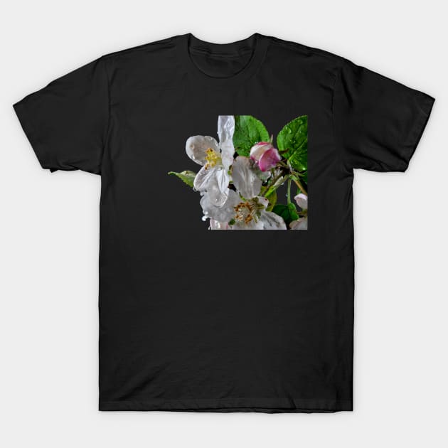 Spring’s Greeting T-Shirt by gdb2